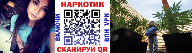 Как найти наркотики Ачхой-Мартан ГАШ Каннабис COCAIN Меф