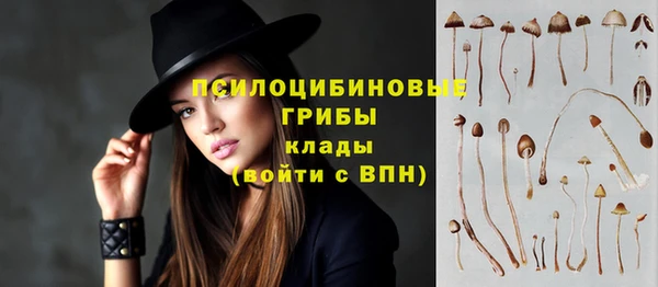 прущие крисы Лихославль
