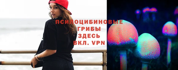 сатива Липки