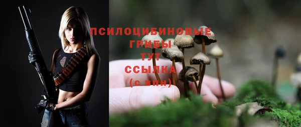прущие крисы Лихославль