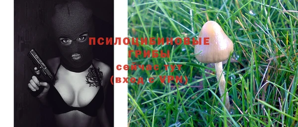 эйфоретик Лиски