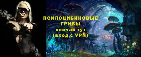 сатива Липки